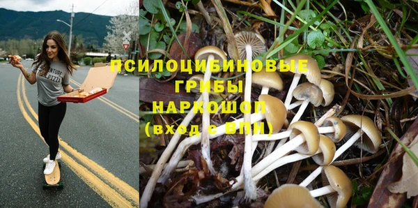 MDMA Елизово