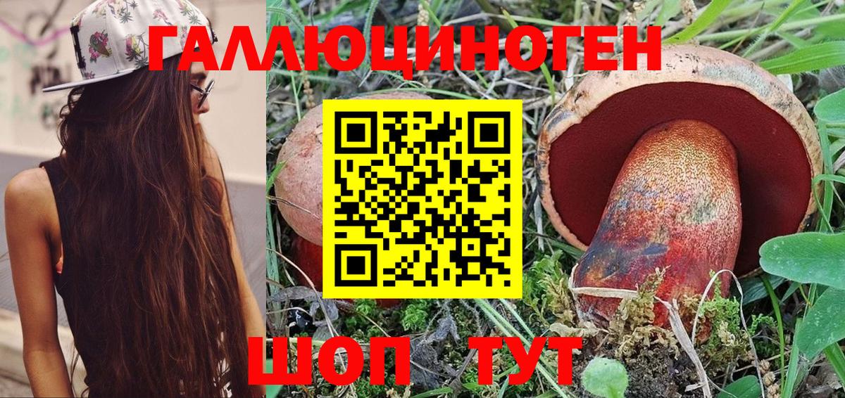 Псилоцибиновые грибы Cubensis Сибай