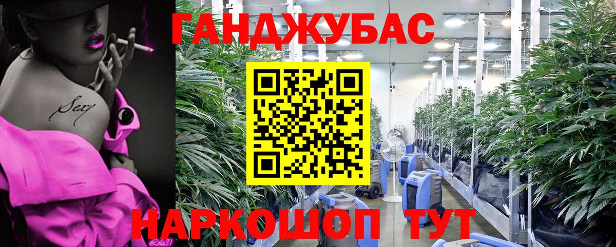 Бошки марихуана индика Сибай